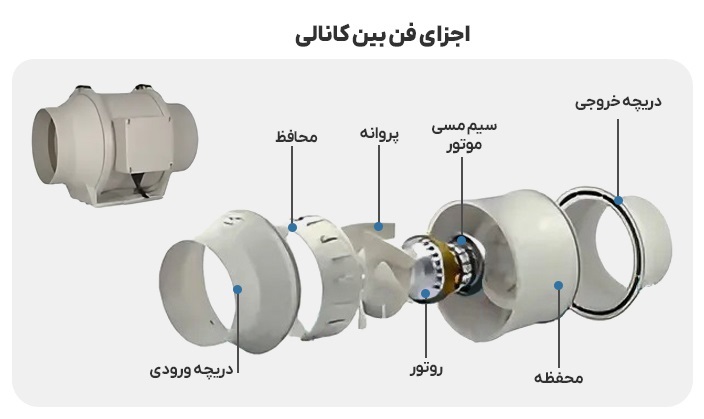 فن بین کانالی