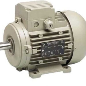 الکتروموتور الکتروژن 0.37 کیلو وات (1500 دور )